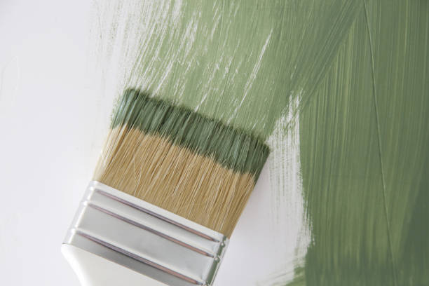 Best Mold Documentation for Insurance Claims  in South Kensington, MD