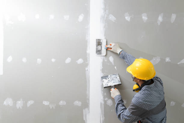 Best Real Estate Mold Inspection  in South Kensington, MD