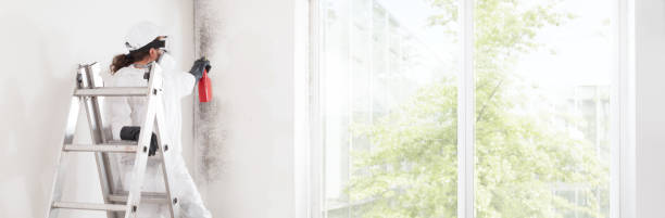Mold Removal for HVAC Installations in South Kensington, MD