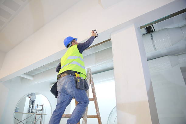 Best Black Mold Removal  in South Kensington, MD